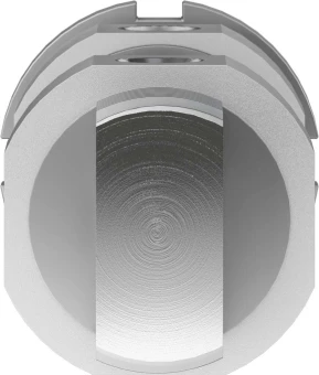 Круглый пневмоцилиндр Festo DSNU-40-25-PPS-A