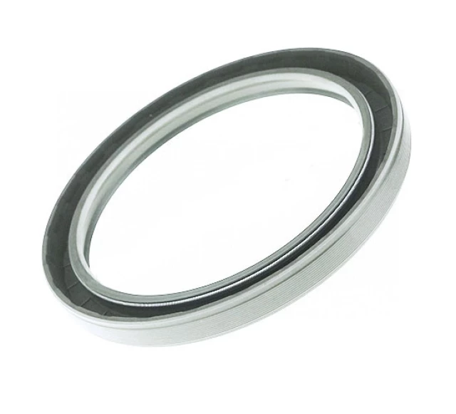 Сальник 100х120х10 HMS5 RG SKF