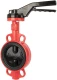 Затвор дисковый чугунный межфланцевый Rushwork 203-450-16 Ру16 Ду450 (PN16 DN450)