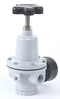 Регулятор давления SNS QTY-25