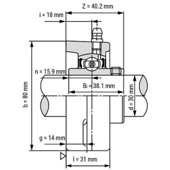 Подшипниковый узел TECHNIX UCFL215