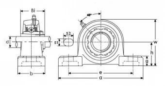 Подшипниковый узел TECHNIX UKP213H2313